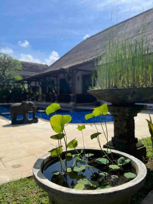 Bali Berg Villa, Sanur מראה חיצוני תמונה